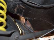 Opel GT 1900