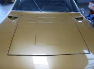 Alpine A 310 1600 VF injection