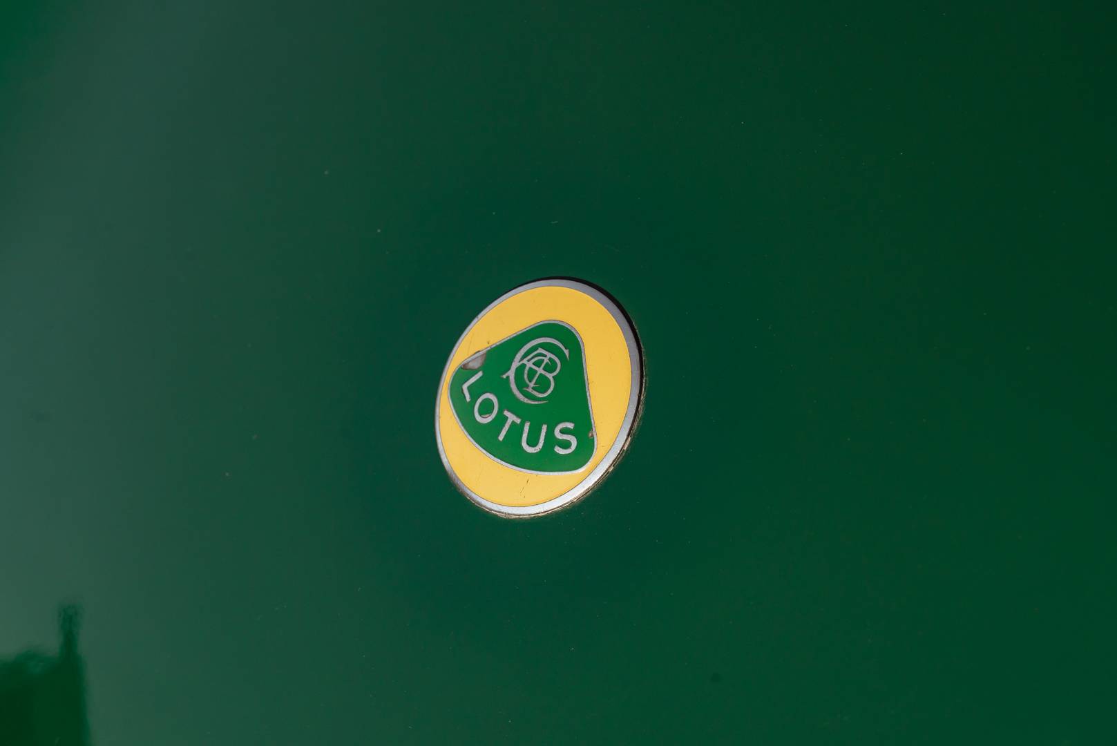 Lotus Eleven