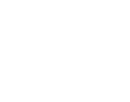 Classic FJ