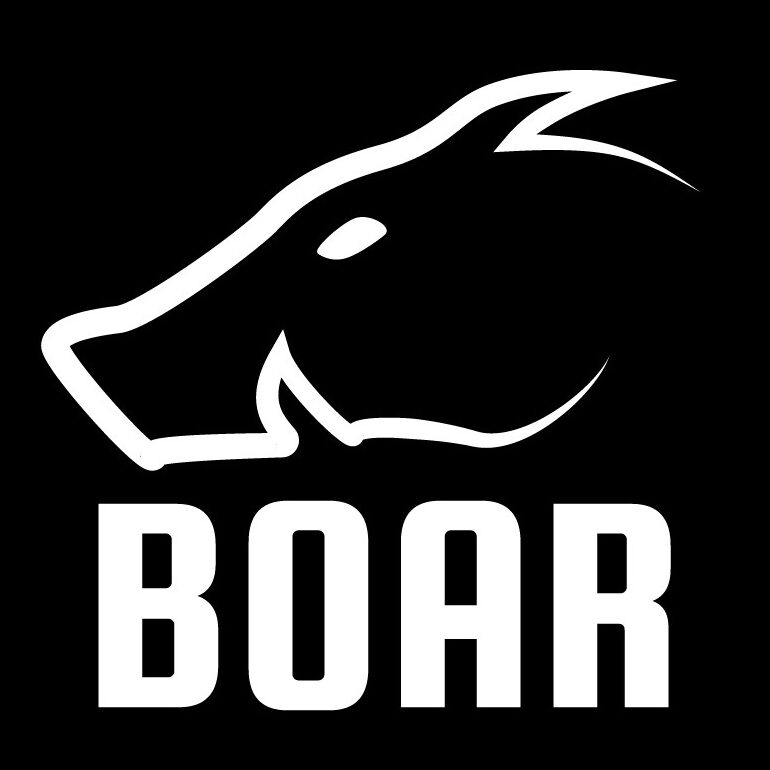 Boar Classics & Customs BV