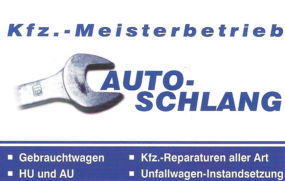 Auto Schlang
