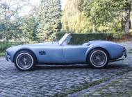 AC Cobra 289