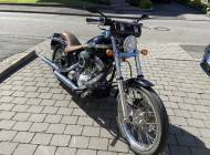 Harley-Davidson FXST Softail Standard - Optik derzeitig