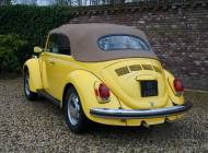 Volkswagen Beetle 1302