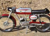 Beta Camoscio 48
