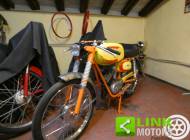 Beta Camoscio 48