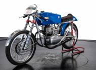 Berneg Fario 175
