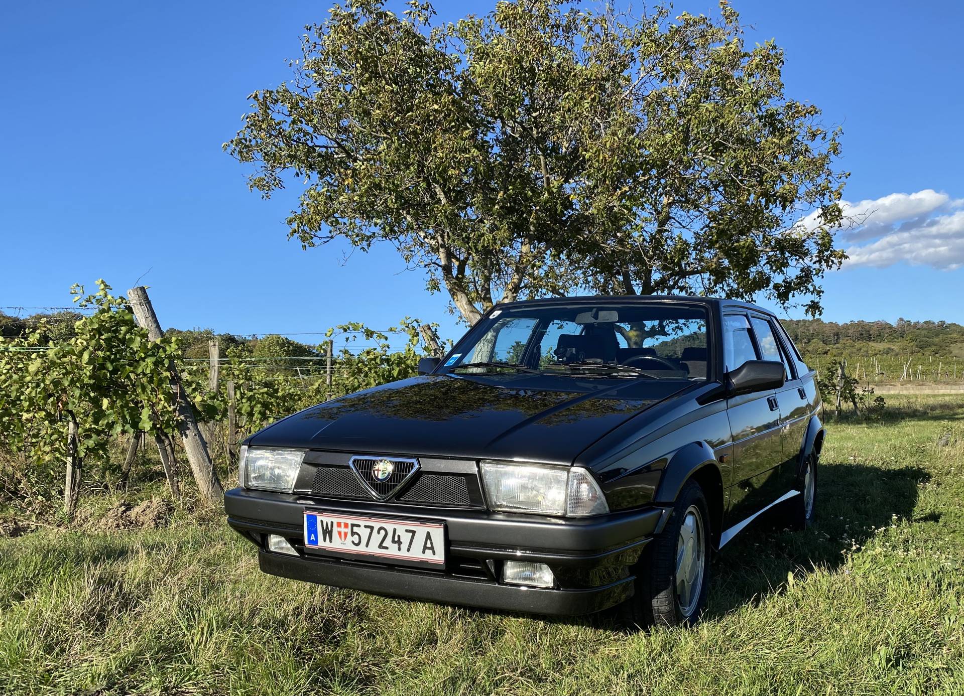 Alfa Romeo 75 1.8 - Alfa Romeo 75 1.8 I.E INDY