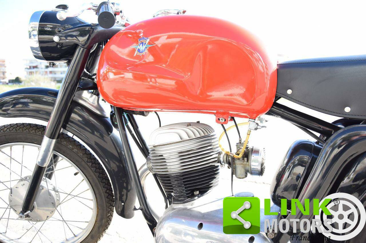 MV Agusta 125 TR Turismo Rapido - Kotflügel vorne A136E