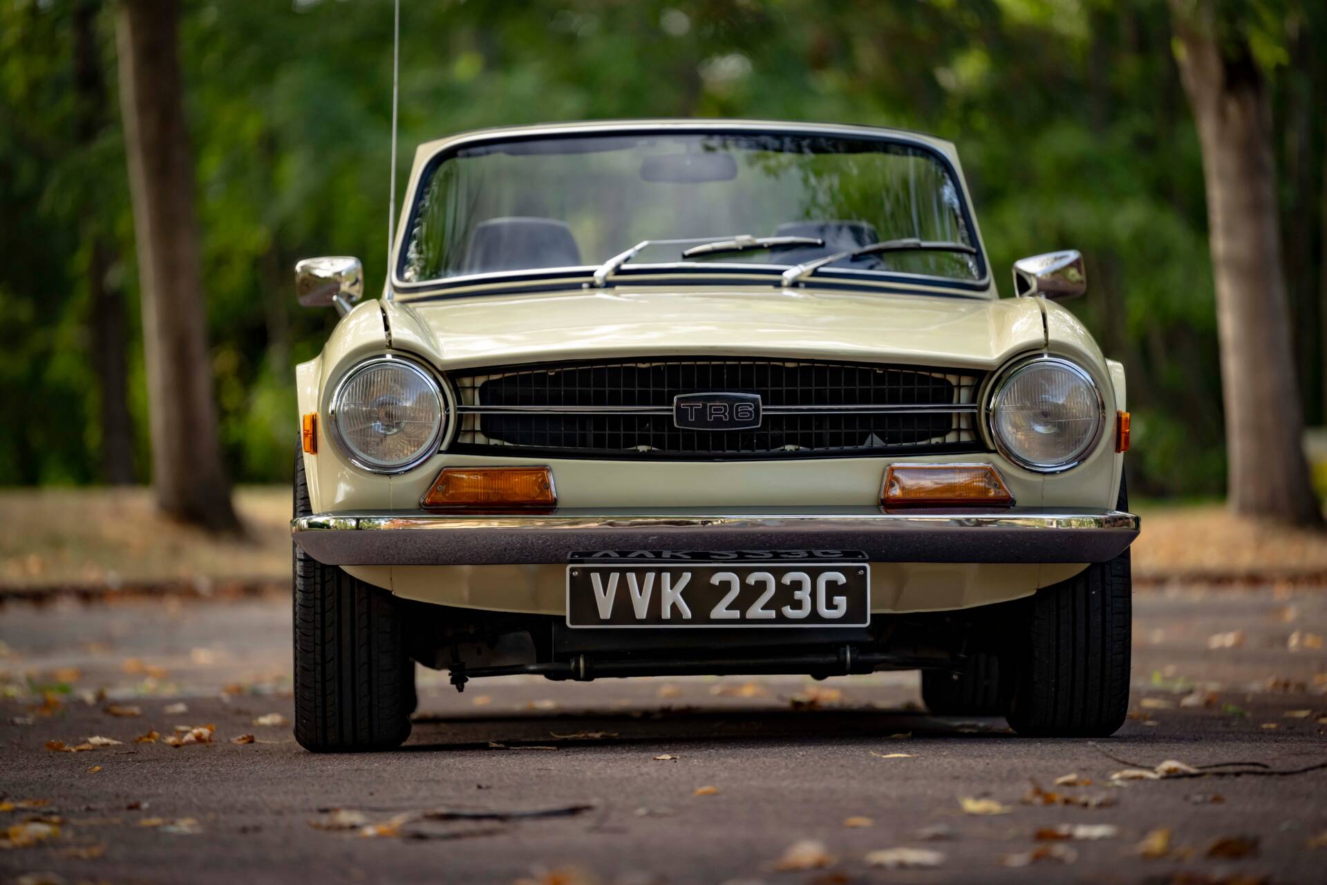 1969 Triumph TR 6, foto 9
