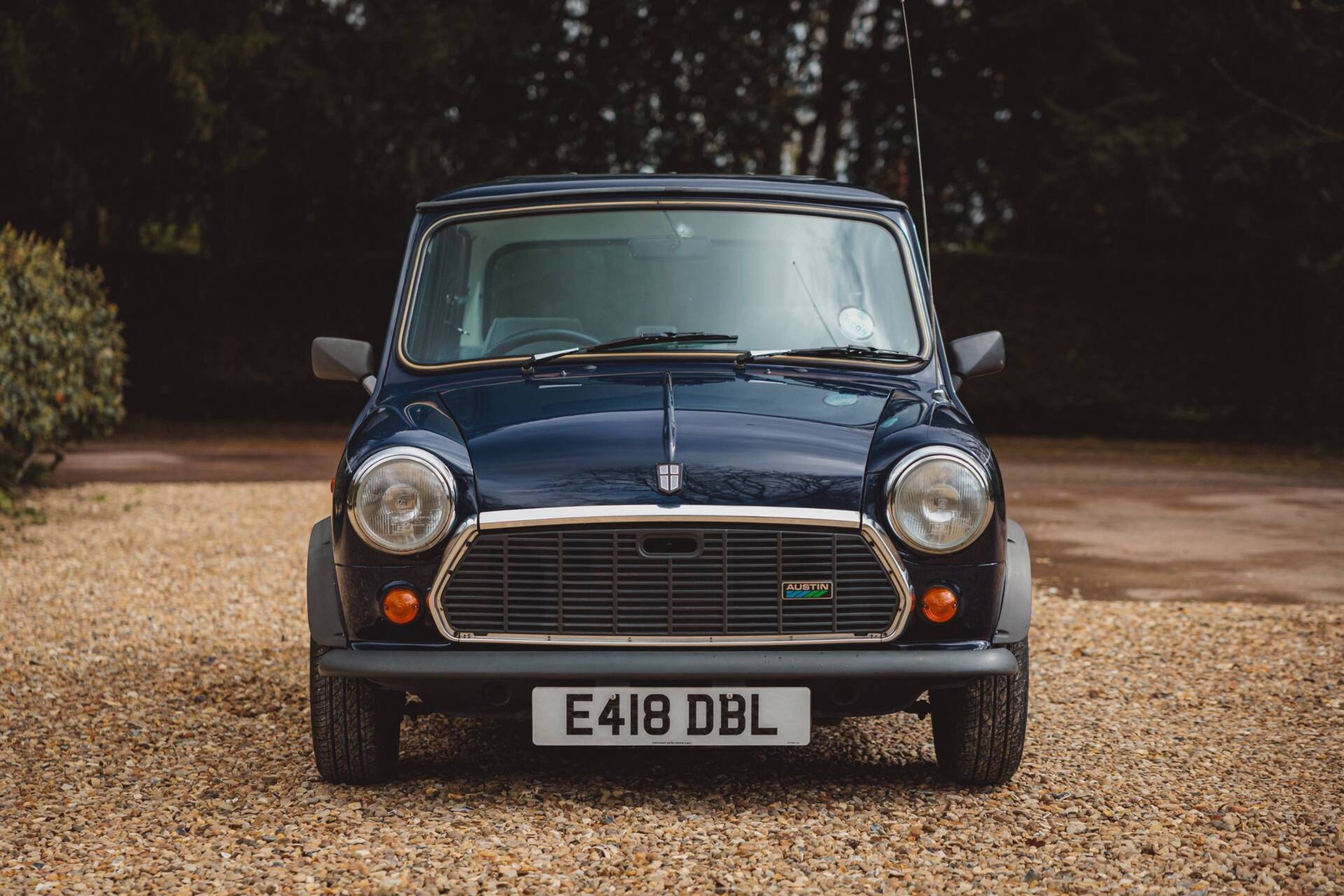 1985 Rover Mini Mini 1000 (1985) en vente pour 5 815