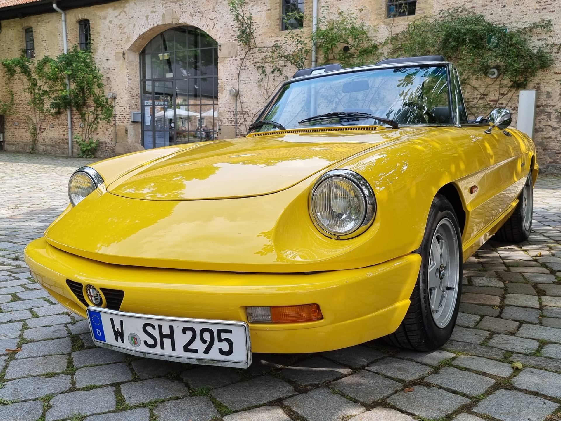 Alfa Romeo Spider Oldtimer kaufen - Classic Trader