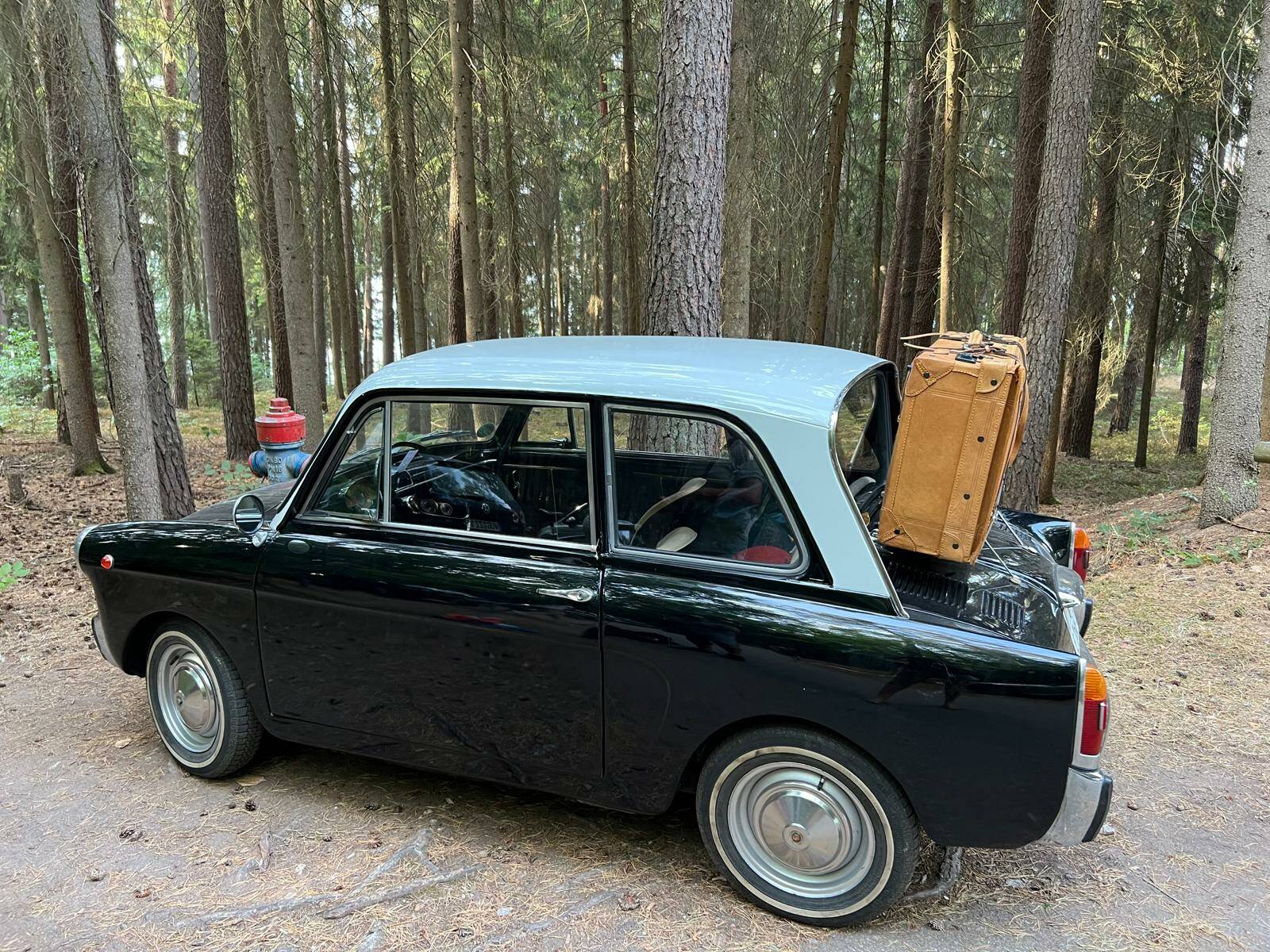 1966 Autobianchi Bianchina, foto 3