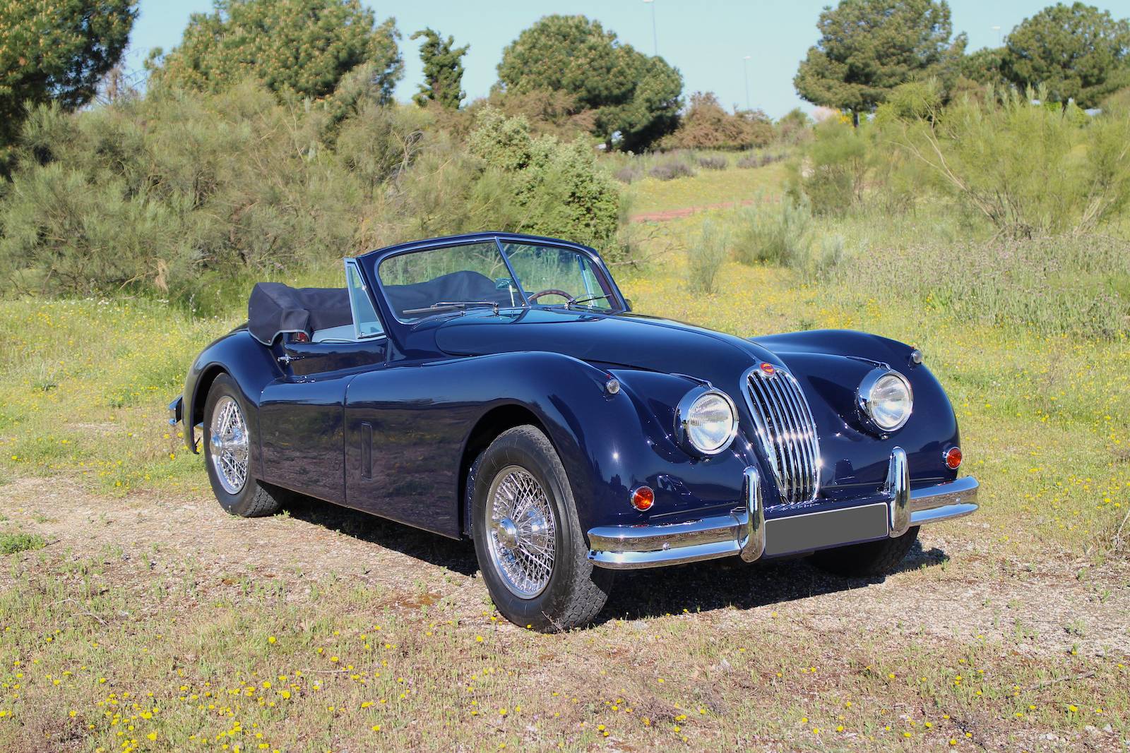 Jaguar xk 140