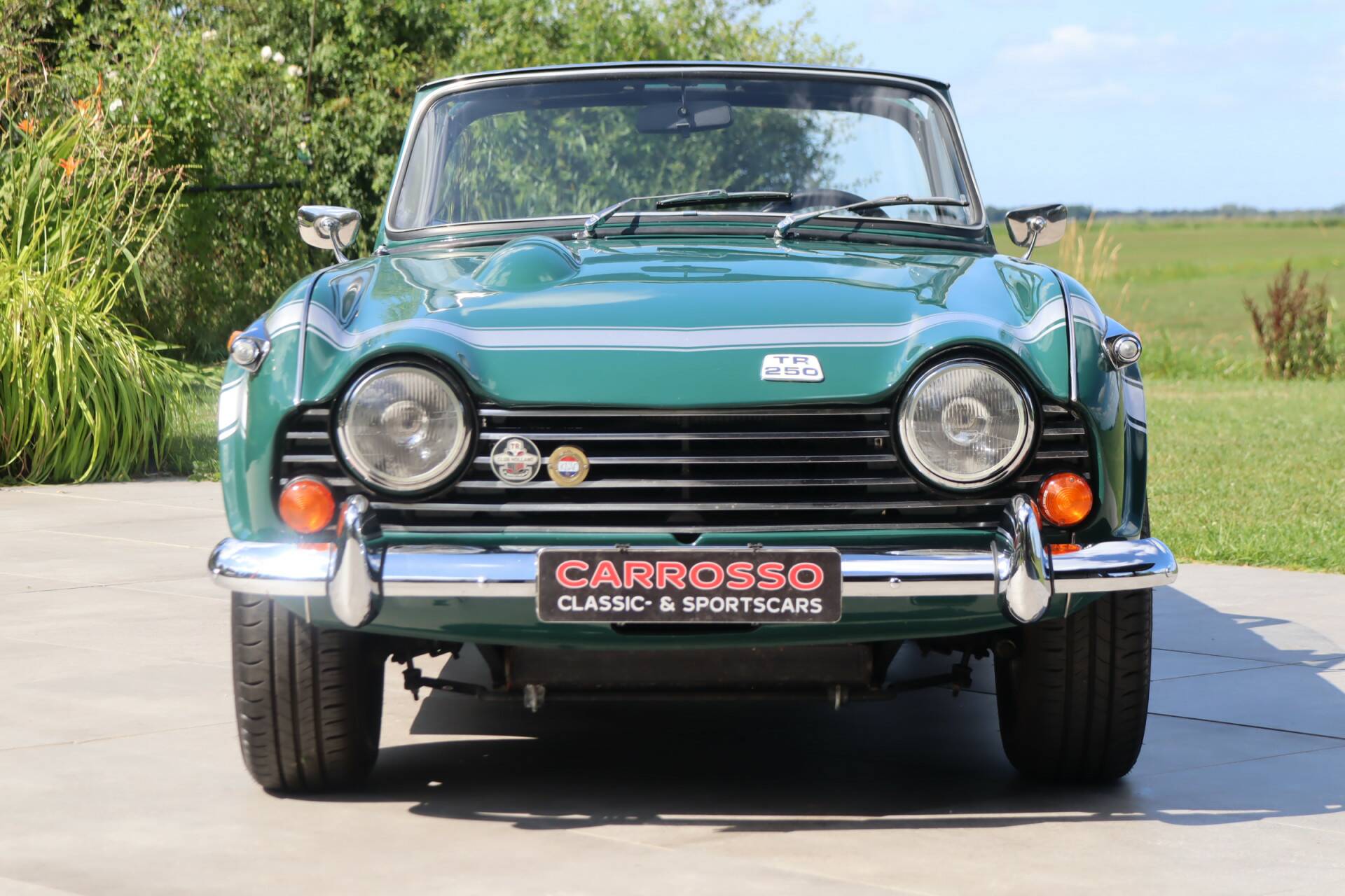 1968 Triumph TR 250, foto 5