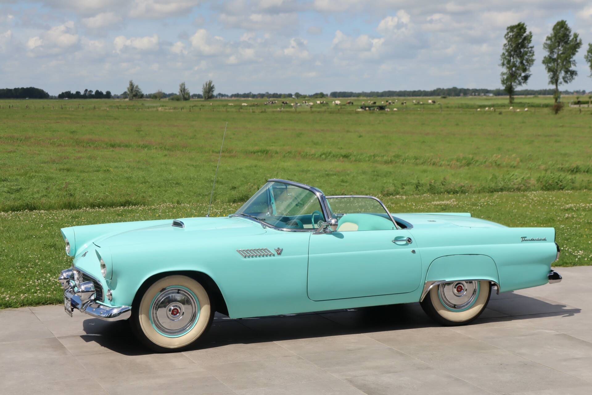 1955 Ford Thunderbird, foto 7