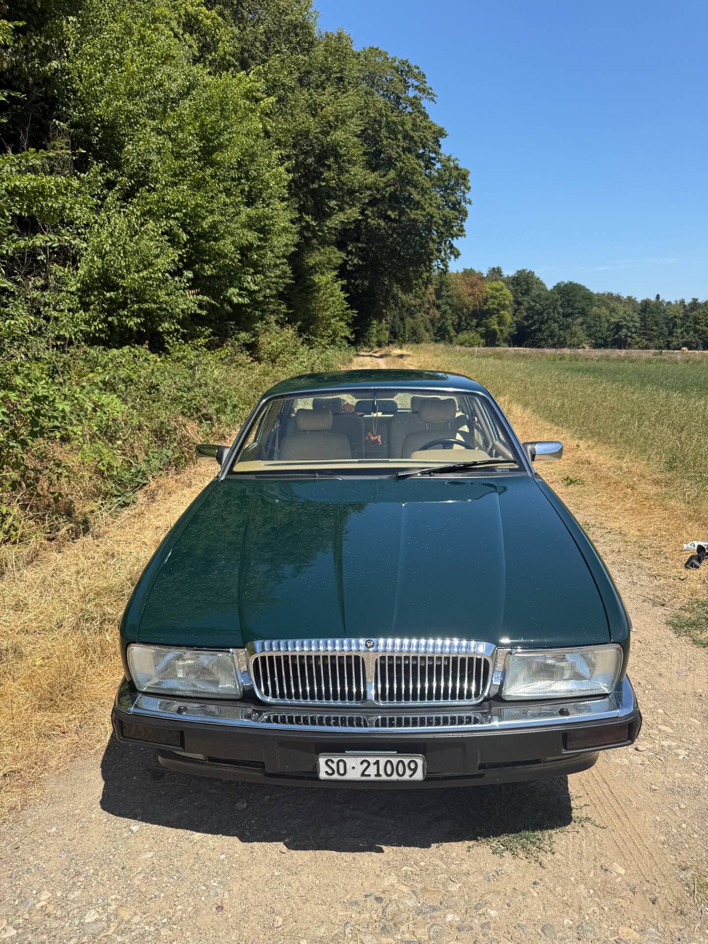 1993 Daimler Double Six, foto 8