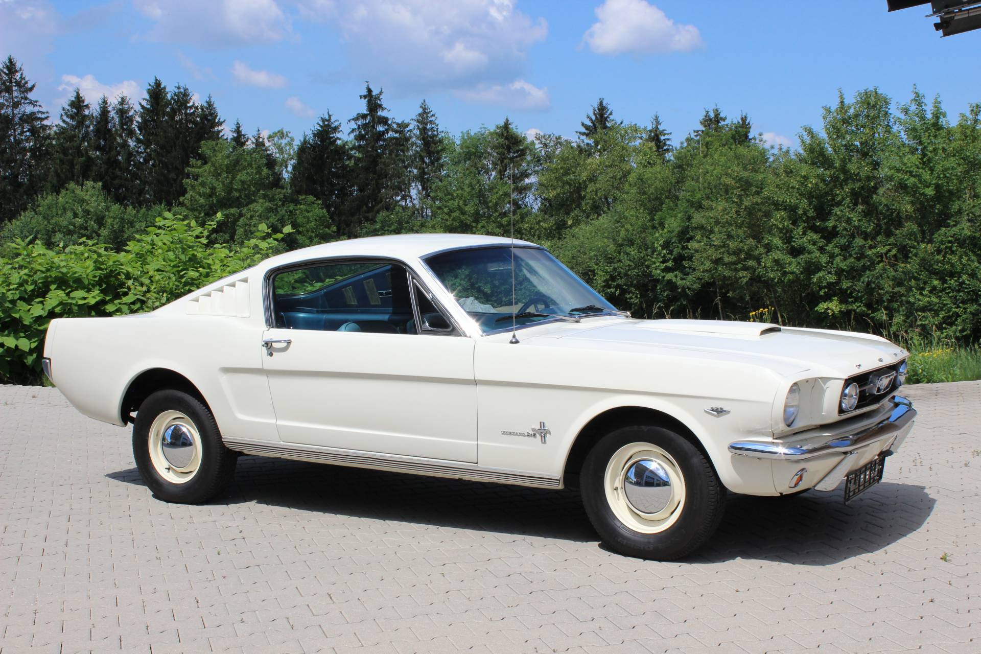 Ford mustang 289