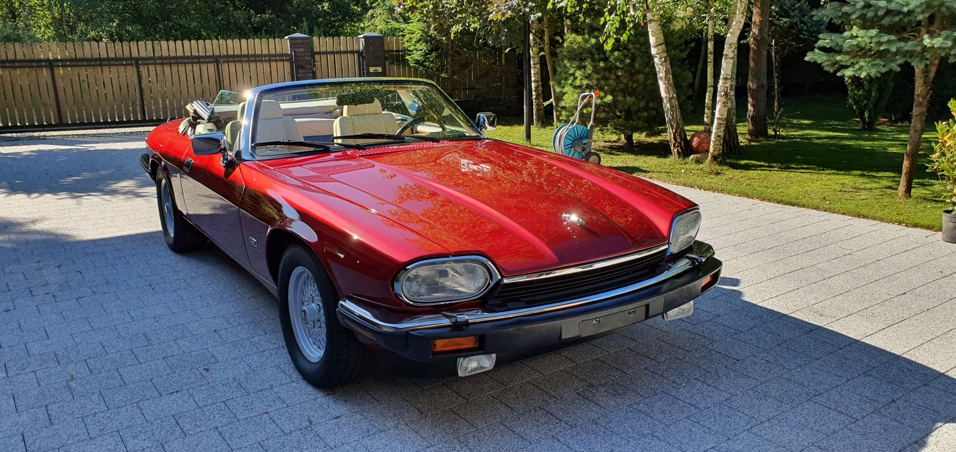 Jaguar xjs v12