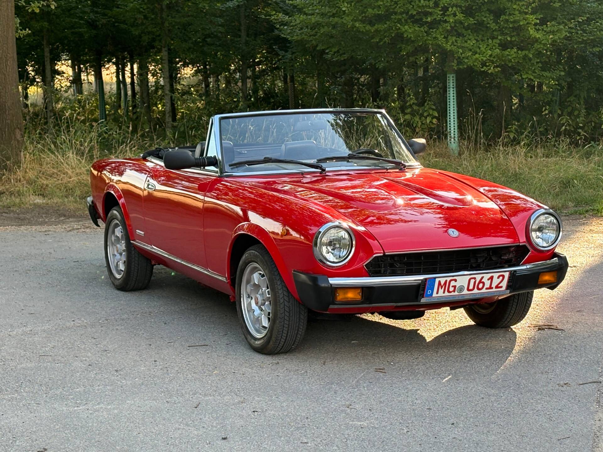 1983 Pininfarina Azzurra Spider, foto 4