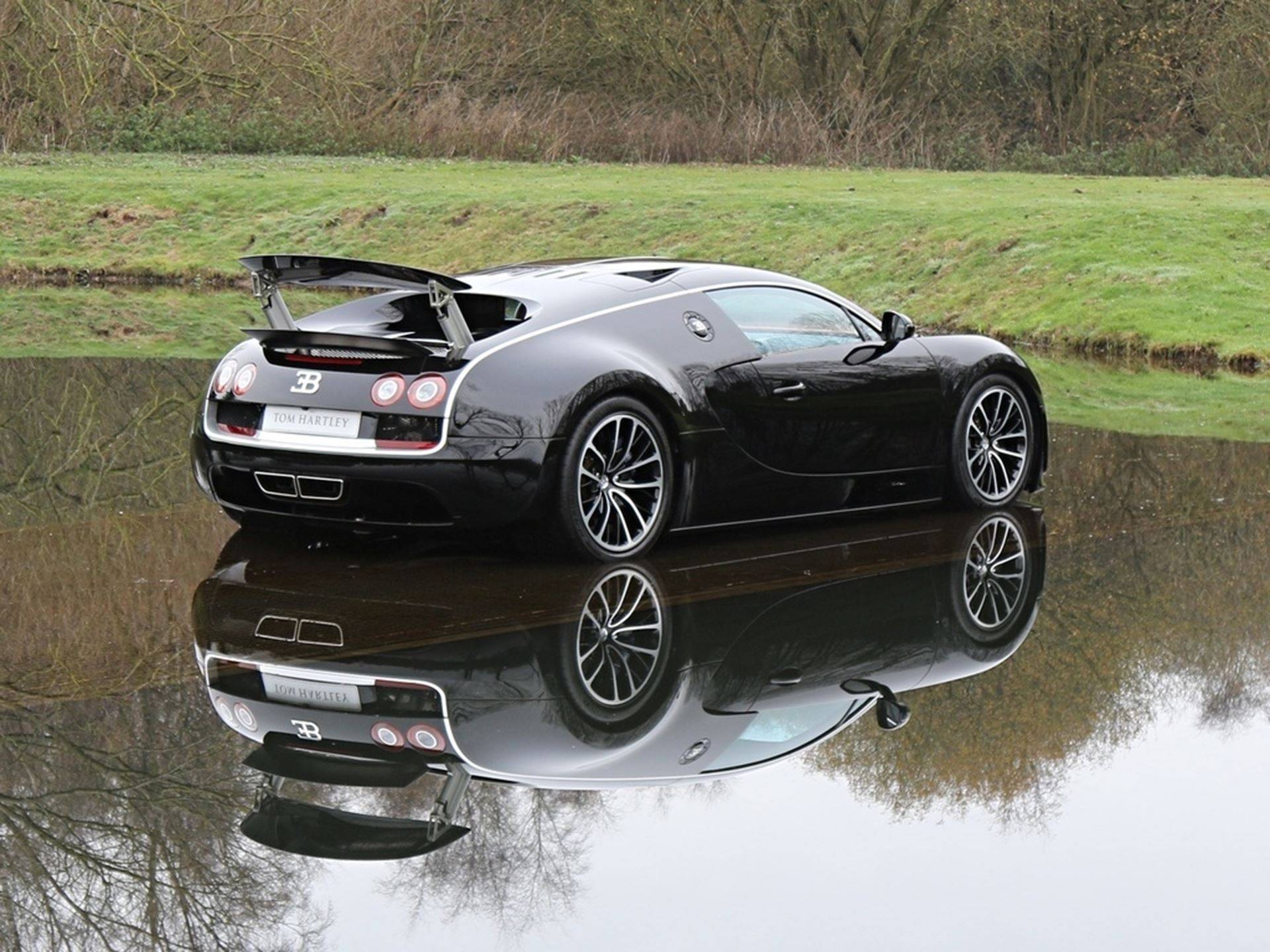 Bugatti eb veyron