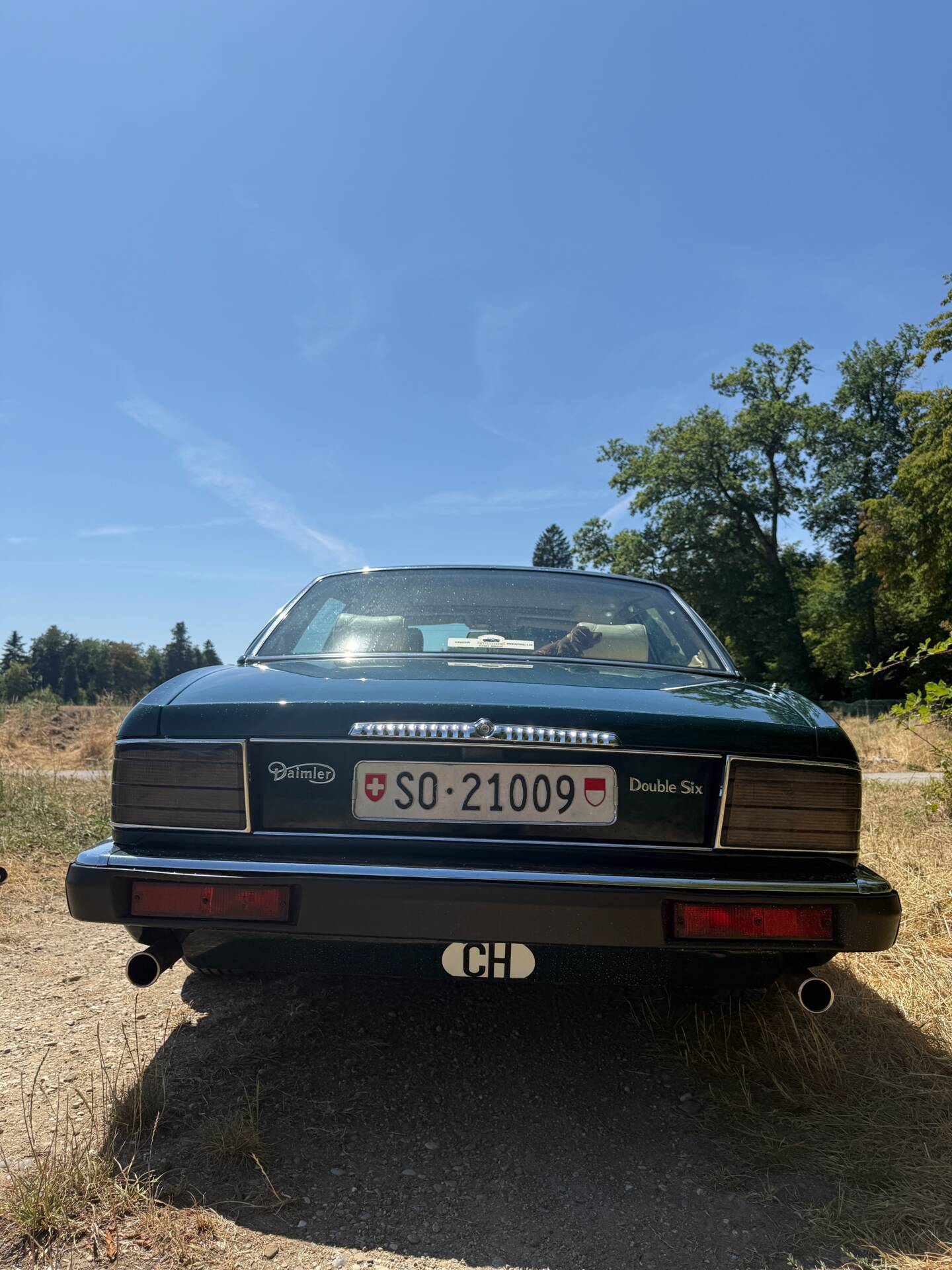 1993 Daimler Double Six, foto 7