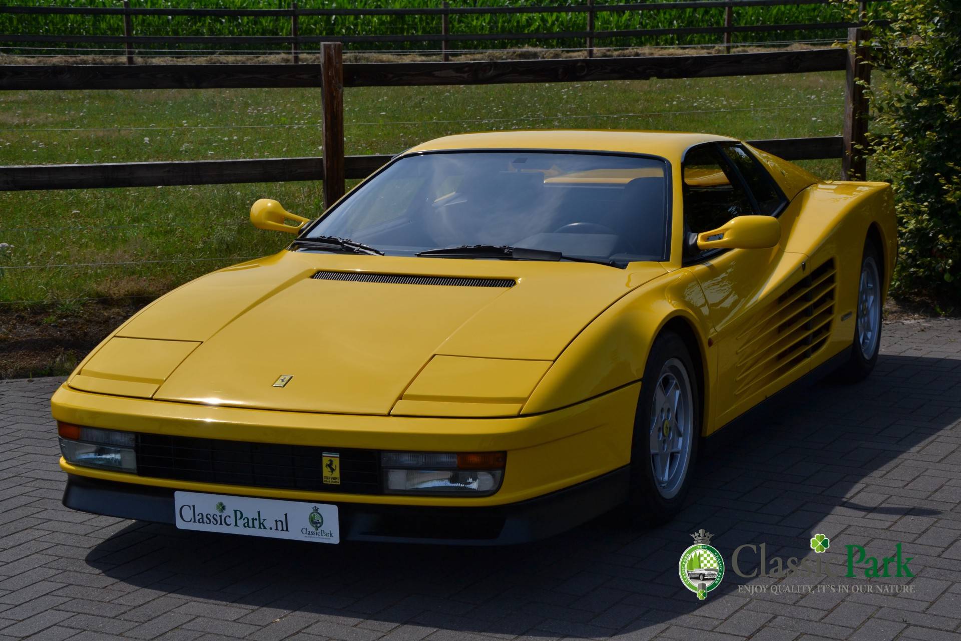 Ferrari Testarossa Oldtimer kaufen Classic Trader