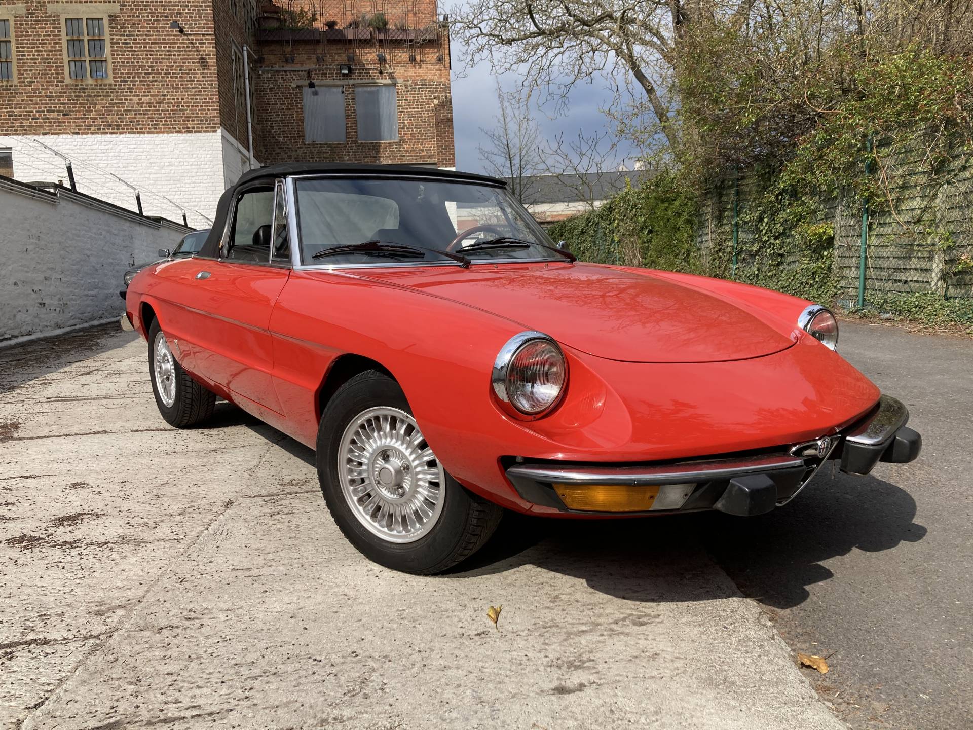 Alfa Romeo Spider Classic Cars for Sale - Classic Trader