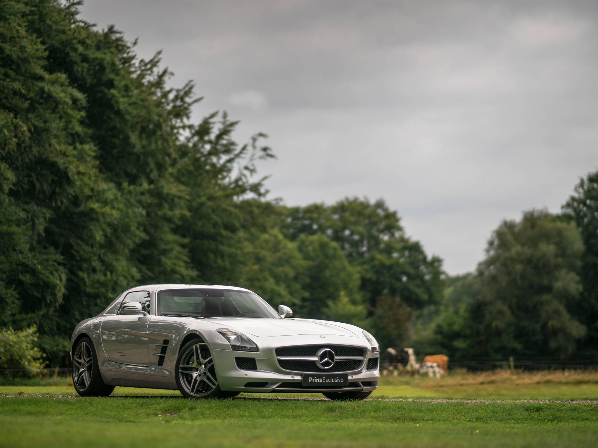 Mercedes Benz Sls Amg 2010 Voor Eur 189 500 Kopen Mercedes Benz Sls Amg 2010 Voor Eur 189 500 Kopen