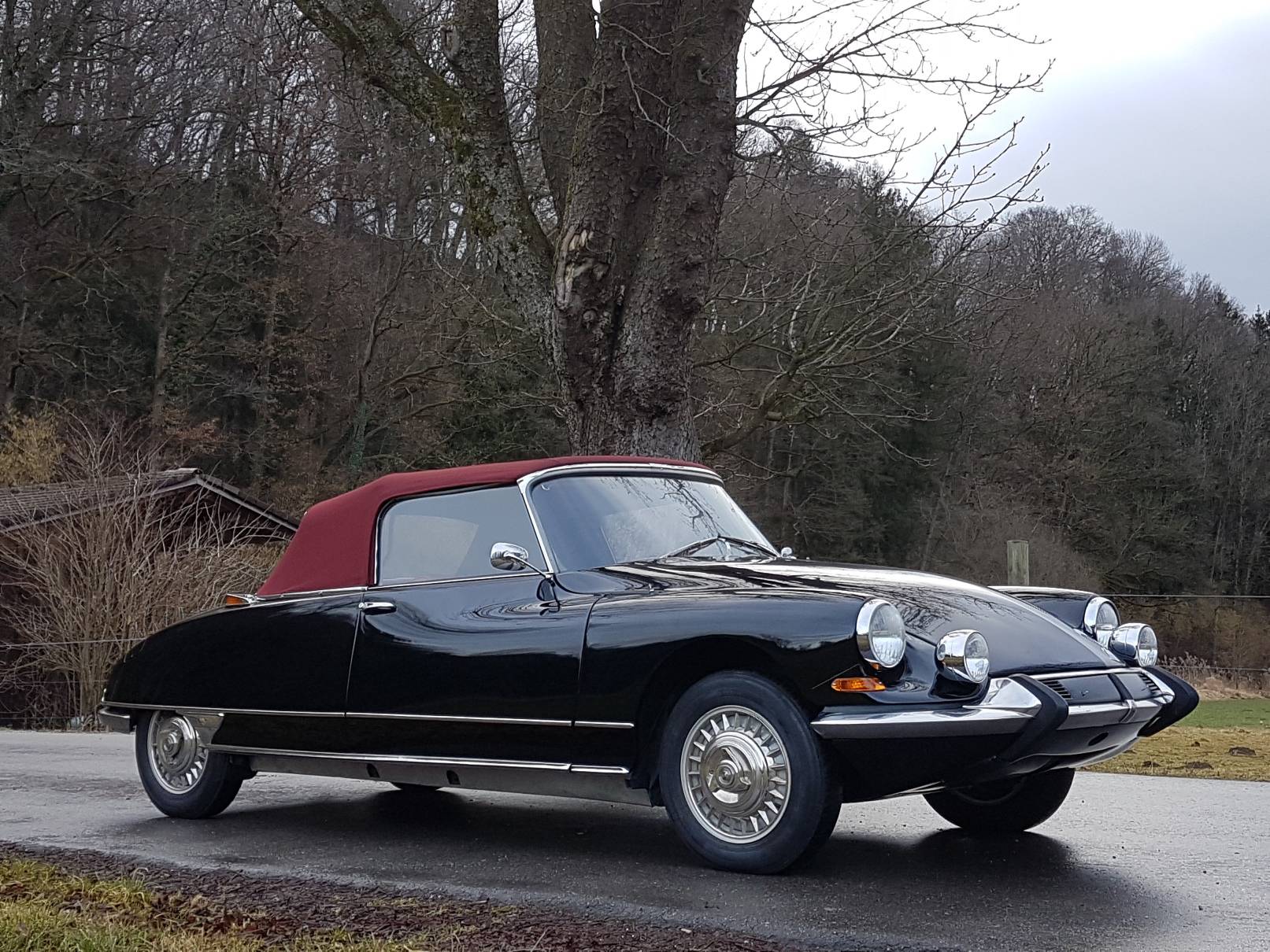 Citroen ds 19