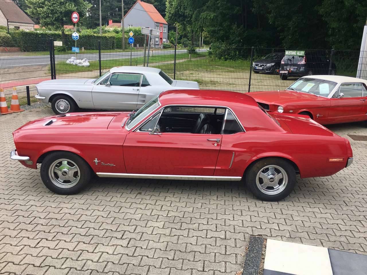 Ford mustang 200