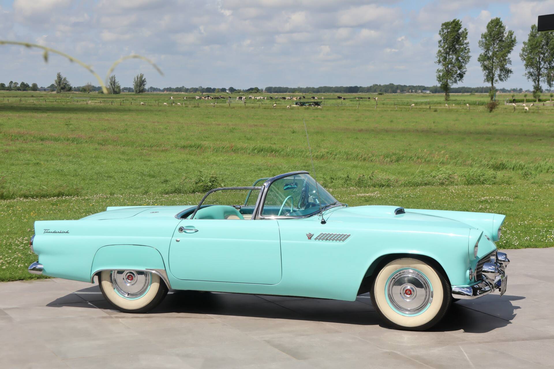 1955 Ford Thunderbird, foto 8