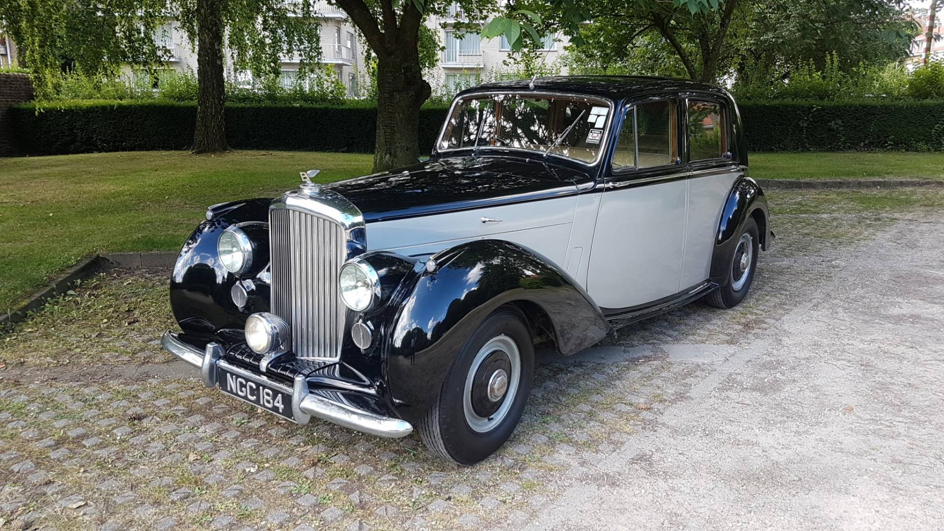 Bentley Mark VI (1952) kaufen Classic Trader