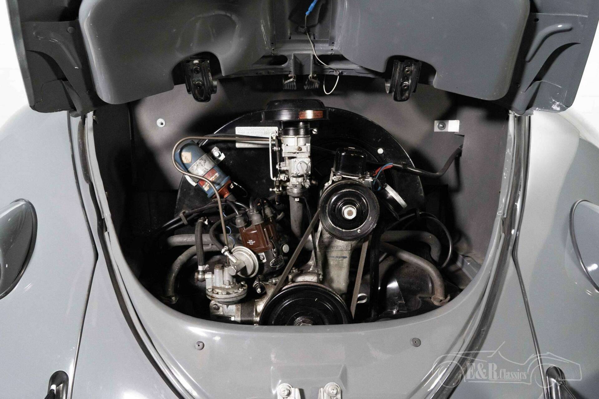Volkswagen Beetle | Tractor & Construction Plant Wiki | Fandom