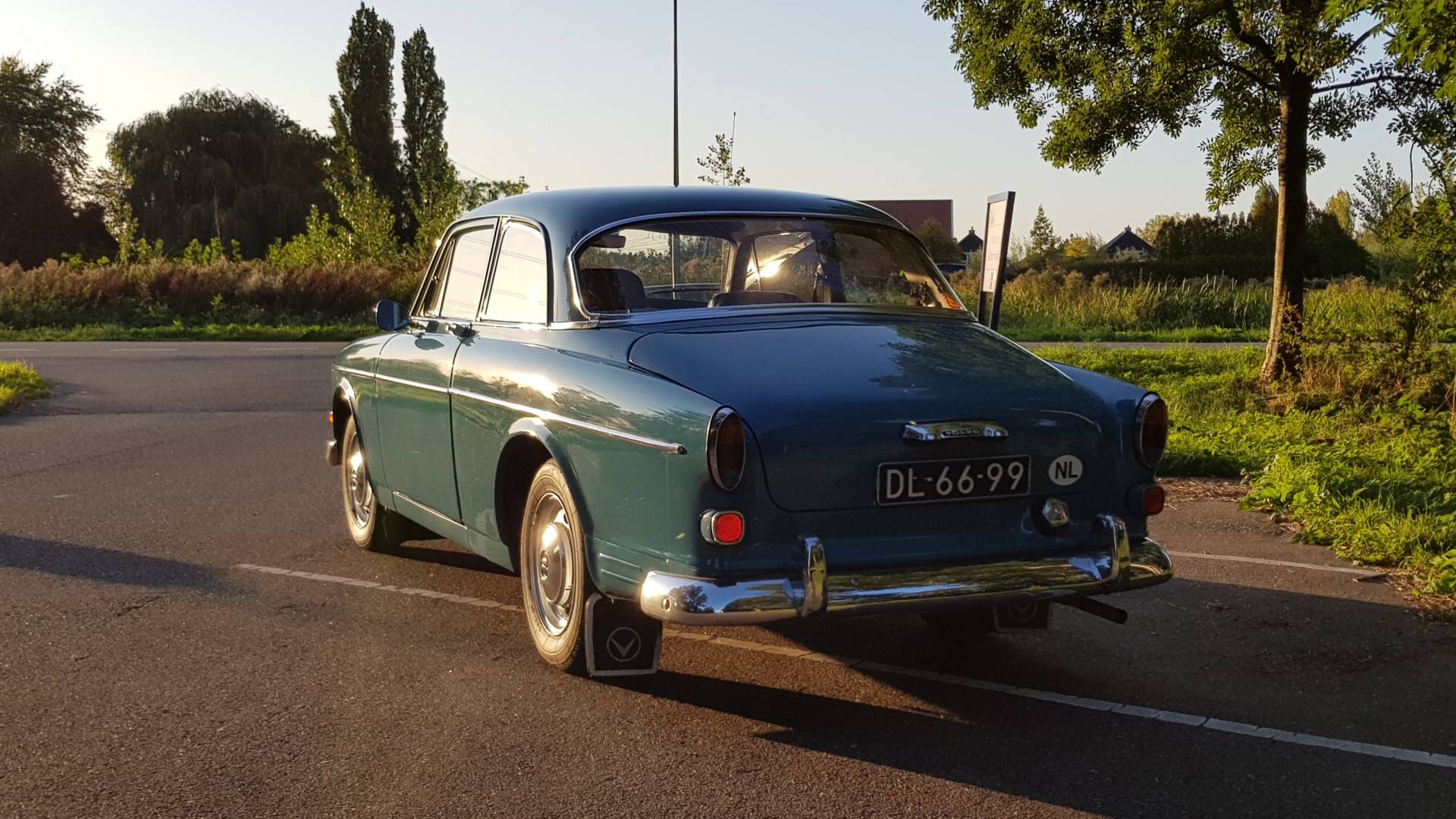 Volvo p220 amazon