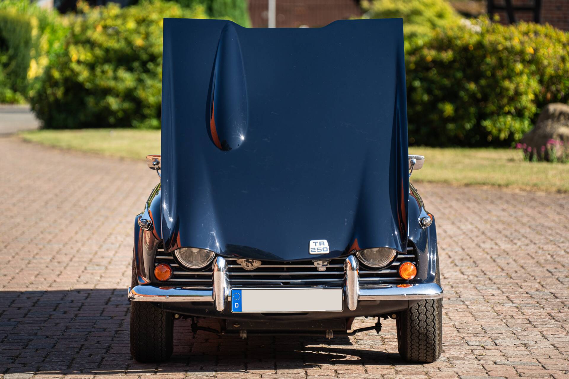 1968 Triumph TR 250, foto 11