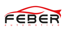 Logotipo de FEBER SRL