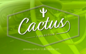Logotipo de CACTUS COLLECTION