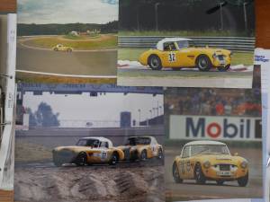 Immagine 52/52 di Austin-Healey 3000 Mk I (BN7) (1959)