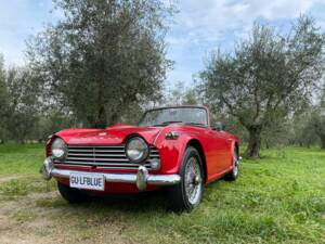 Image 1/33 de Triumph TR 4A IRS (1966)