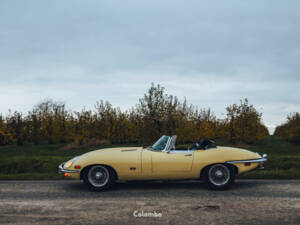 Image 7/29 de Jaguar E-Type (1969)