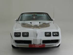 Bild 9/15 von Pontiac Firebird Turbo TransAm (1981)