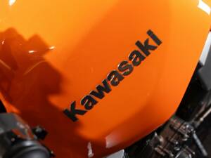 Image 27/50 de Kawasaki DUMMY (2005)