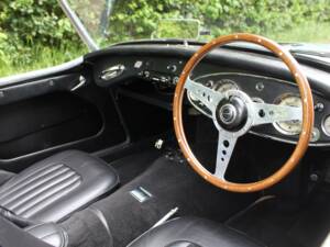 Immagine 8/17 di Austin-Healey 3000 Mk I (BT7) (1960)