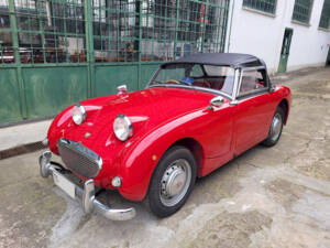 Image 28/51 of Austin-Healey Sprite Mk I (1960)