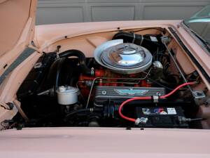 Immagine 57/64 di Ford Thunderbird (1956)