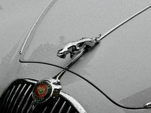 Bild 9/24 von Jaguar Mk II 2.4 (1960)