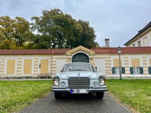 Immagine 6/75 di Mercedes-Benz 280 SE 3,5 (1971)