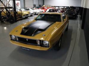 Image 30/50 of Ford Mustang Mach 1 (1973)